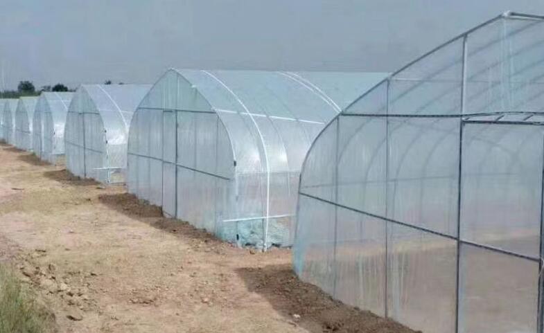 Serres agricoles commerciales